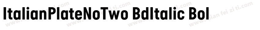 ItalianPlateNoTwo BdItalic Bold It字体转换